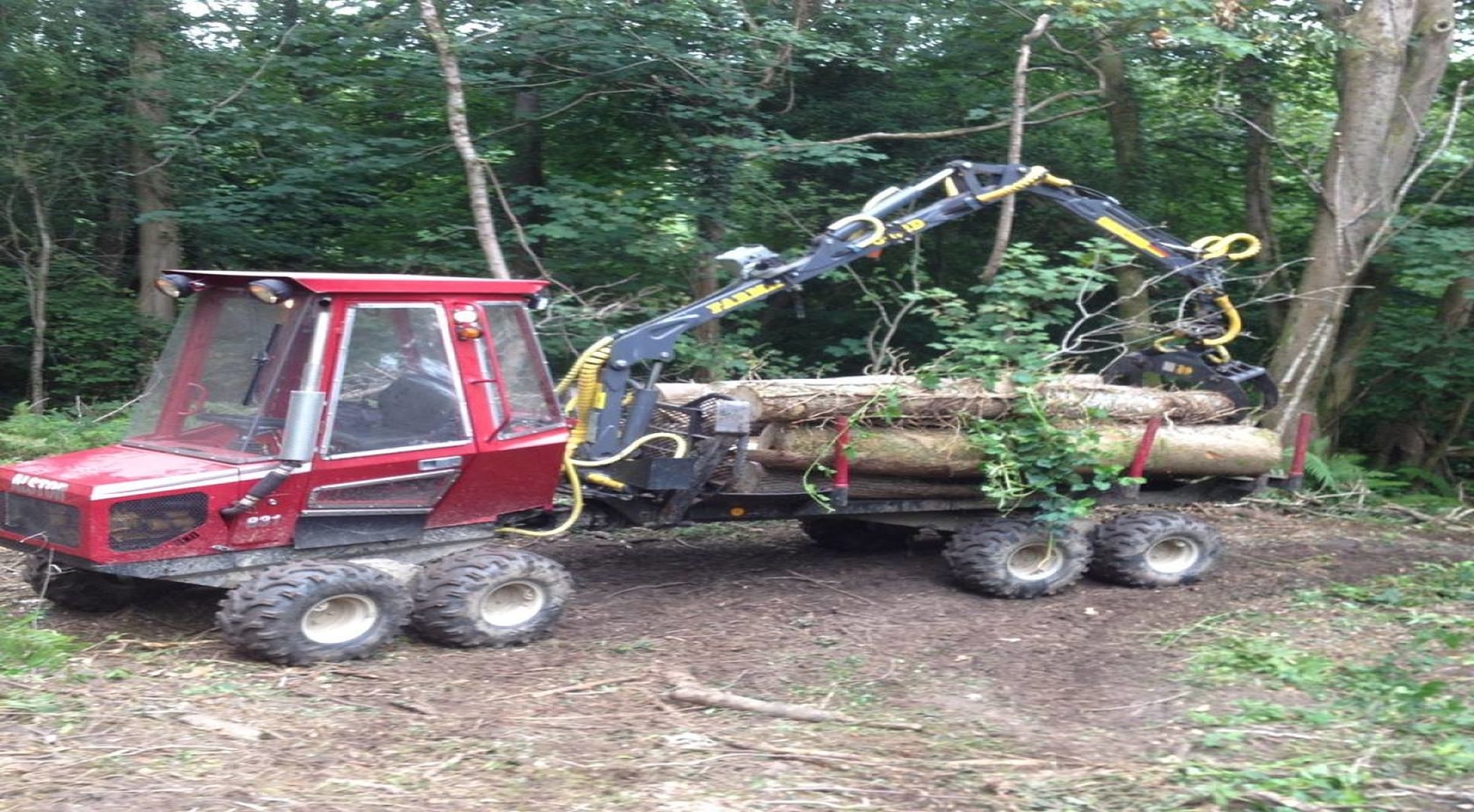 Tree Services in Monmouthshire and Gloucestershire